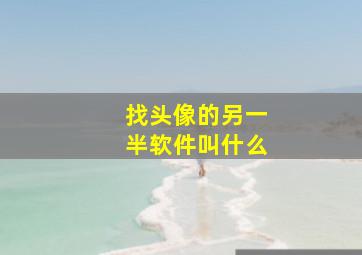 找头像的另一半软件叫什么