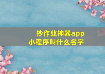 抄作业神器app小程序叫什么名字