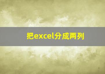 把excel分成两列