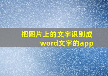 把图片上的文字识别成word文字的app