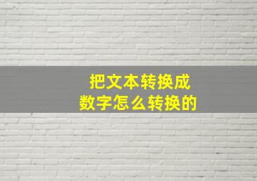 把文本转换成数字怎么转换的