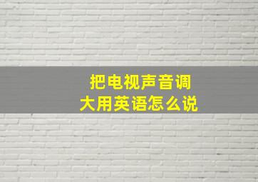 把电视声音调大用英语怎么说