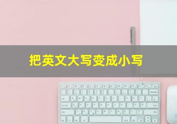 把英文大写变成小写