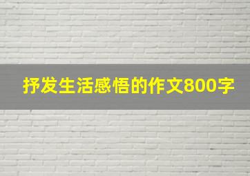 抒发生活感悟的作文800字