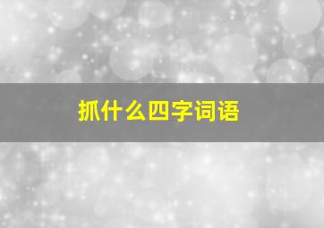 抓什么四字词语