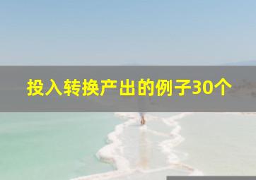 投入转换产出的例子30个