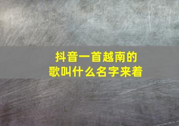 抖音一首越南的歌叫什么名字来着