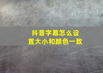 抖音字幕怎么设置大小和颜色一致