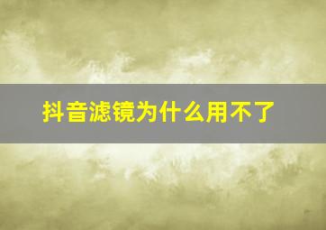 抖音滤镜为什么用不了