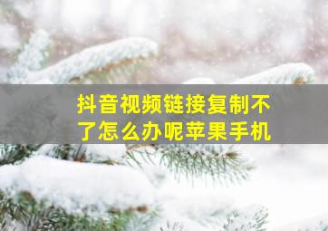 抖音视频链接复制不了怎么办呢苹果手机