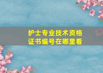 护士专业技术资格证书编号在哪里看