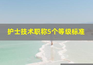 护士技术职称5个等级标准