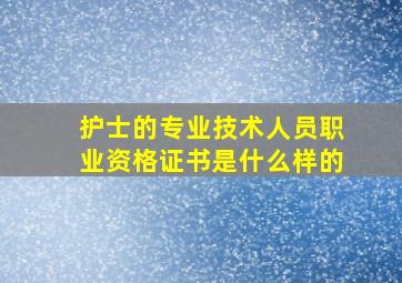 护士的专业技术人员职业资格证书是什么样的