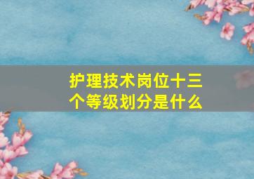 护理技术岗位十三个等级划分是什么