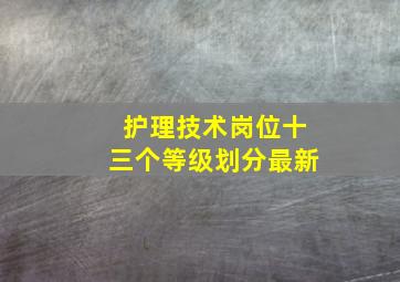 护理技术岗位十三个等级划分最新