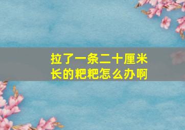 拉了一条二十厘米长的粑粑怎么办啊