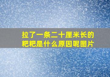 拉了一条二十厘米长的粑粑是什么原因呢图片