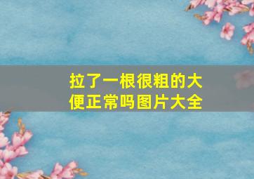 拉了一根很粗的大便正常吗图片大全