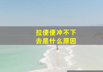 拉便便冲不下去是什么原因