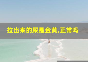 拉出来的屎是金黄,正常吗