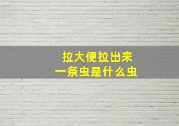 拉大便拉出来一条虫是什么虫