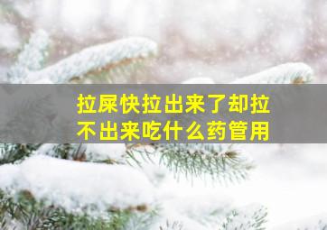 拉屎快拉出来了却拉不出来吃什么药管用