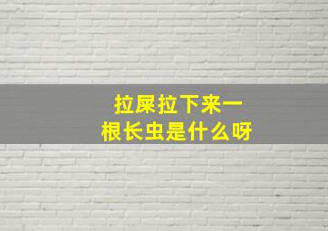 拉屎拉下来一根长虫是什么呀