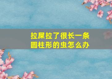 拉屎拉了很长一条圆柱形的虫怎么办