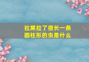 拉屎拉了很长一条圆柱形的虫是什么