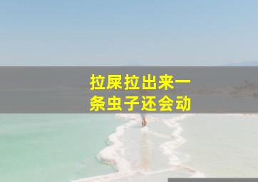 拉屎拉出来一条虫子还会动