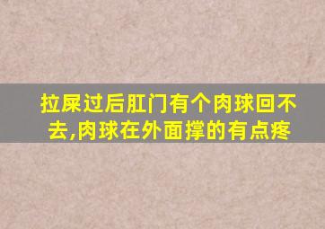 拉屎过后肛门有个肉球回不去,肉球在外面撑的有点疼