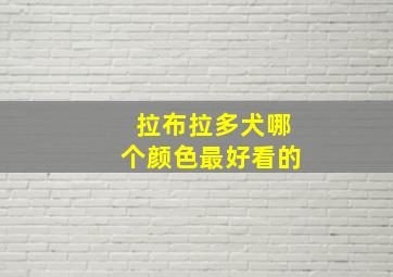 拉布拉多犬哪个颜色最好看的