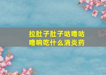 拉肚子肚子咕噜咕噜响吃什么消炎药