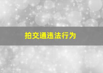 拍交通违法行为