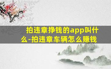 拍违章挣钱的app叫什么-拍违章车辆怎么赚钱