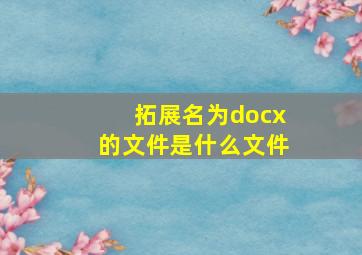 拓展名为docx的文件是什么文件