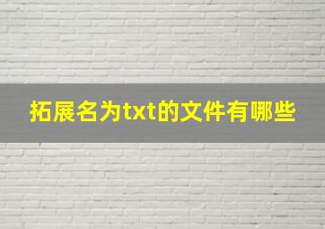 拓展名为txt的文件有哪些