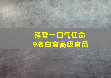 拜登一口气任命9名白宫高级官员