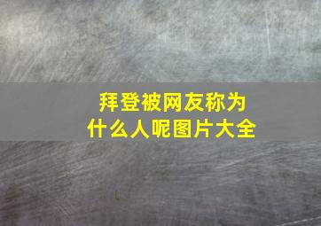 拜登被网友称为什么人呢图片大全