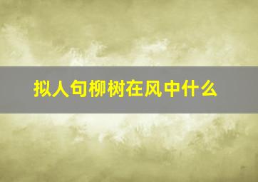 拟人句柳树在风中什么