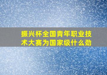 振兴杯全国青年职业技术大赛为国家级什么劲