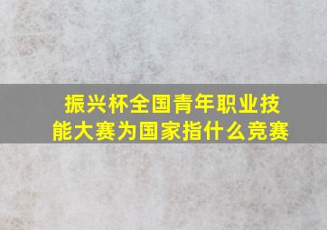 振兴杯全国青年职业技能大赛为国家指什么竞赛