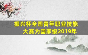 振兴杯全国青年职业技能大赛为国家级2019年