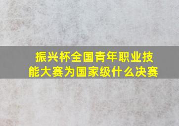 振兴杯全国青年职业技能大赛为国家级什么决赛