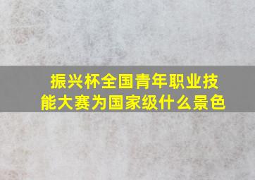 振兴杯全国青年职业技能大赛为国家级什么景色