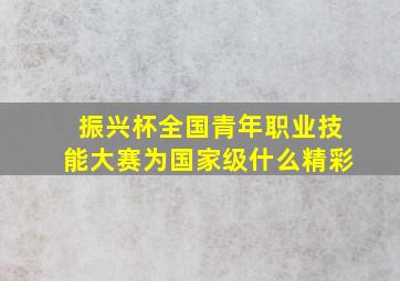 振兴杯全国青年职业技能大赛为国家级什么精彩