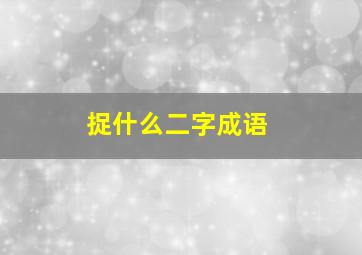 捉什么二字成语