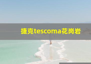 捷克tescoma花岗岩