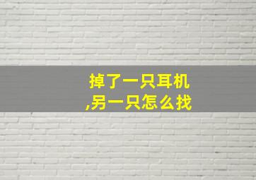 掉了一只耳机,另一只怎么找