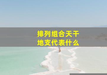 排列组合天干地支代表什么